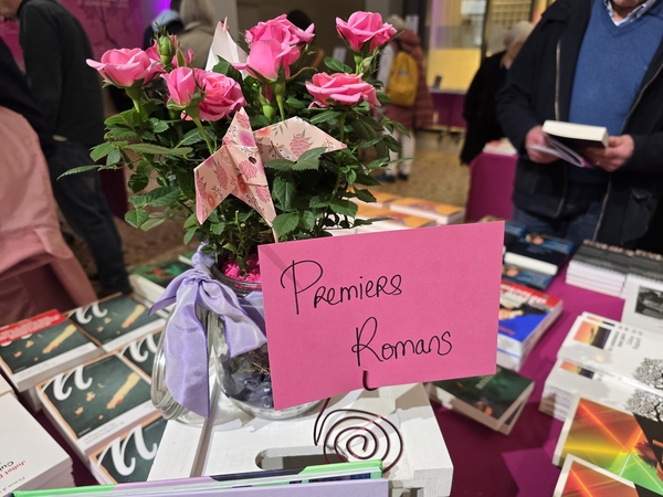 librairie du Festival